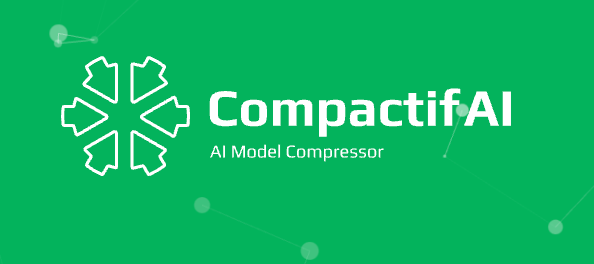 [Dev] CompacifAI Internal